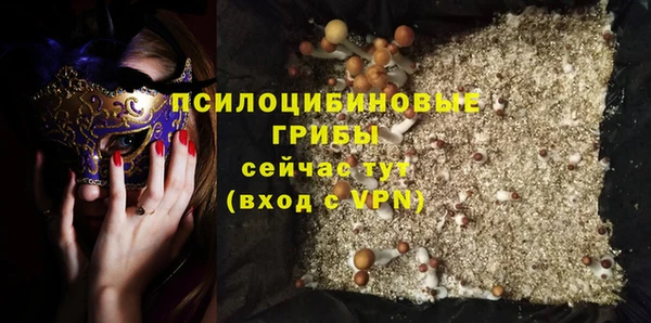 ПСИЛОЦИБИНОВЫЕ ГРИБЫ Балахна