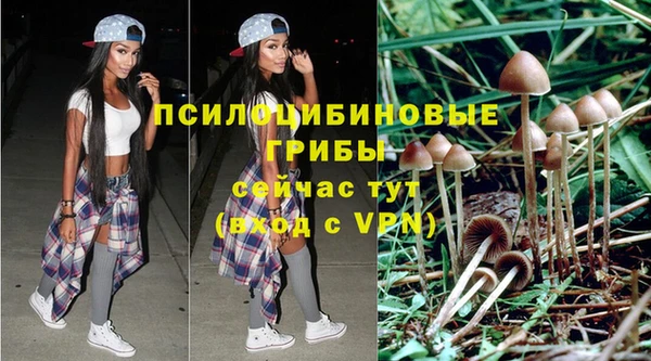 ПСИЛОЦИБИНОВЫЕ ГРИБЫ Балахна