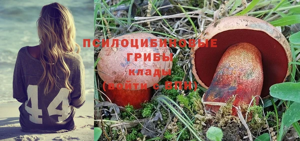 ПСИЛОЦИБИНОВЫЕ ГРИБЫ Балахна